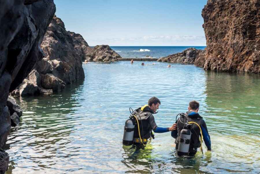 Porto Moniz: Diving with Sharks and Rays in Madeira Aquarium - Price and value: what $159 buys you (and what it doesn’t)