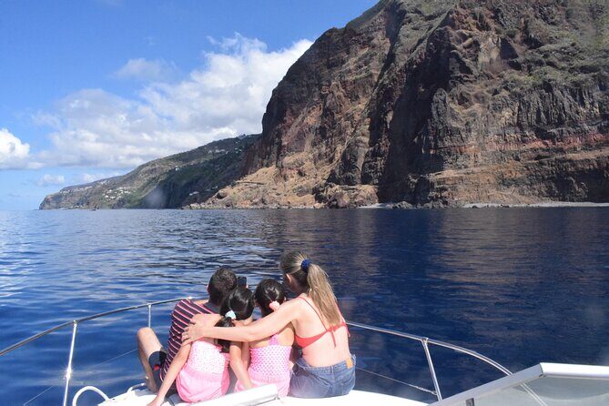 Private Dolphin and Whale Watching Tour in Madeira - Wildlife spotting without the stress: dolphins, whales, and what “guarantee-free” means