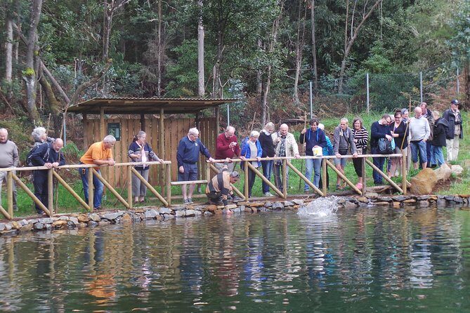 Private Full Day 4X4 Experience: East or West - Santana and the Biosphere Reserve houses: classic Madeira texture