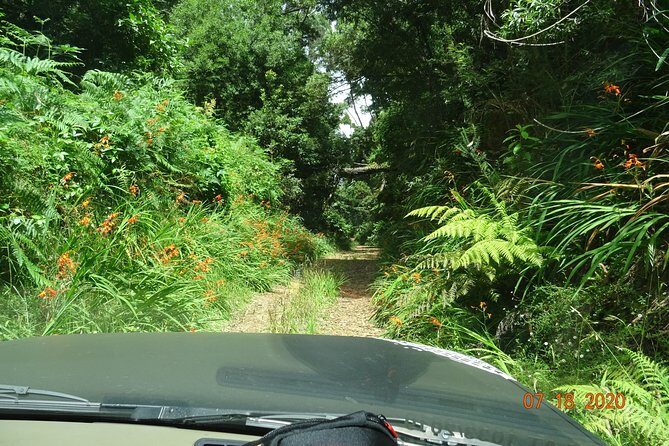 Private Full Day Off-Road Tour in Madeira - Porto Moniz Natural Swimming Pools: Lunch and a Volcanic Swim Option
