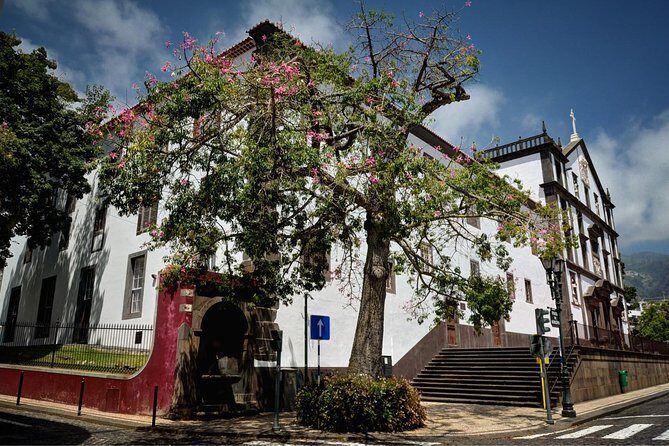 Private Funchal City Tour by Tukxi - Why a Tukxi works so well in Funchal