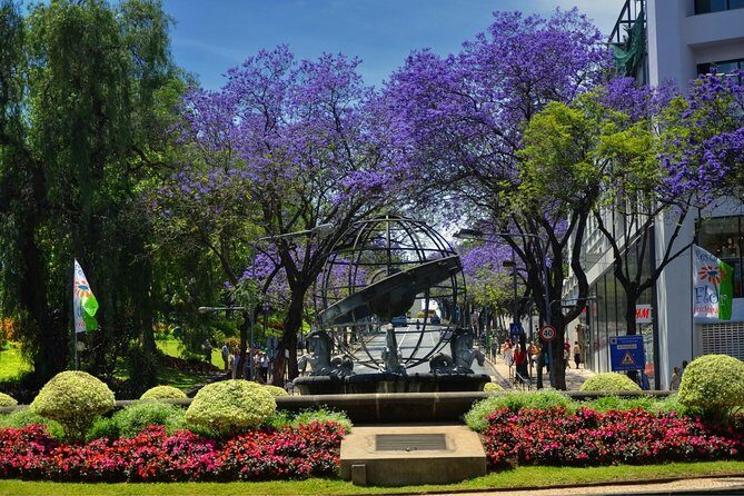 Private Funchal City Tour by Tukxi - Pickup and drop-off: where this tour becomes stress-free