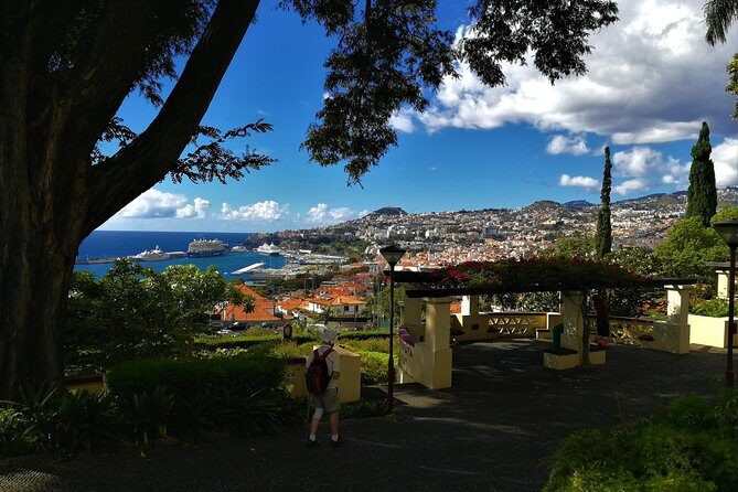 Private Funchal City Tour by Tukxi - Municipal Square and the landmarks you can actually photograph