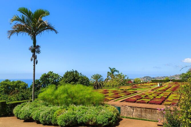 Private Half day tour around Madeira Island - Why this Madeira highlights loop fits real vacation time