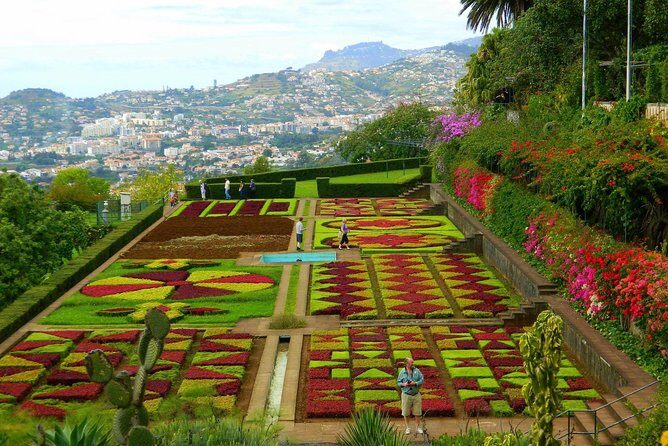 Private Half day tour around Madeira Island - Pickup and timing: the hidden value of door-to-door