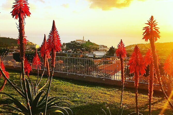 Private Half day tour around Madeira Island - What you’ll pay extra for (and what to bring on the day)
