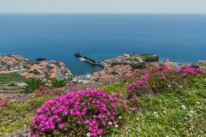 Private Tuk Tuk Tour on Câmara de Lobos, Fishing Village - Key highlights at a glance