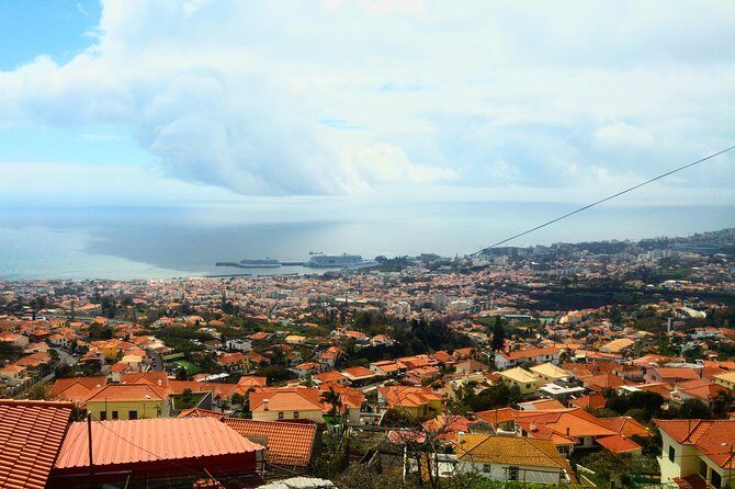 Private Tuk Tuk Tour to Old Town + Monte in Funchal - Key Things to Know Before You Go