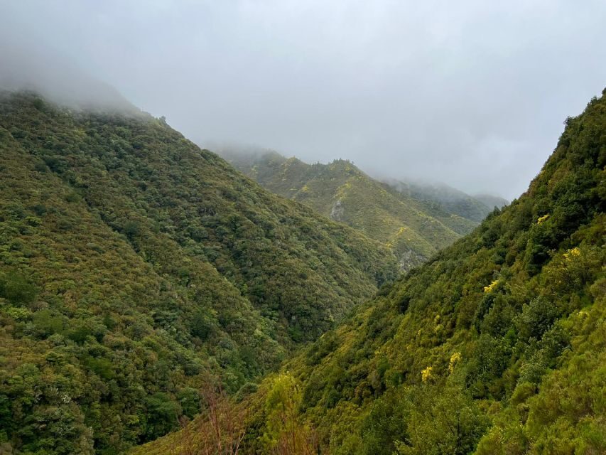 Rabaçal: 25 Fontes & Risco Levada Transfer Self-guided Hike - Rabaçal + 25 Fontes: why this hike feels so Madeira