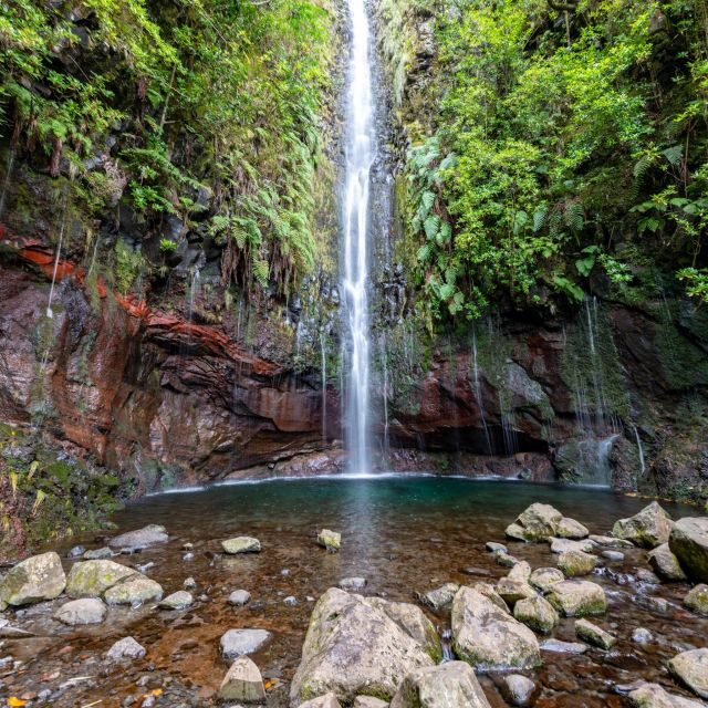 Rabaçal: 25 Fontes & Risco Levada Transfer Self-guided Hike - The shared van plan from Funchal (and how not to miss your stop)