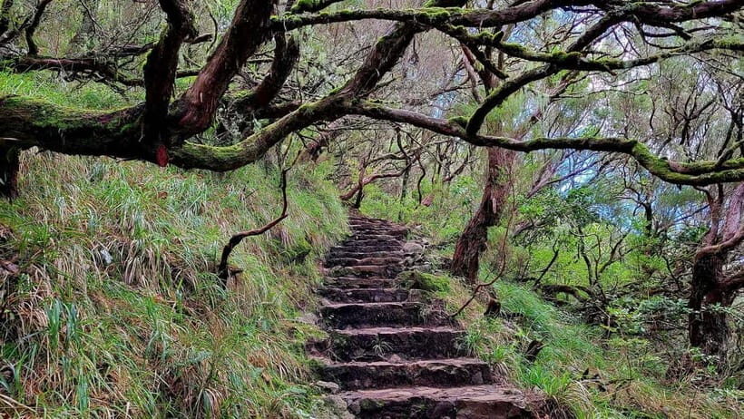 Rabaçal: 25 Fontes & Risco Levada Transfer Self-guided Hike - The self-guided hike: 25 Fontes + Risco in one 5-hour block