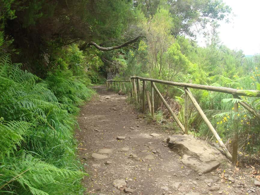 Rabaçal: 25 Fontes & Risco Levada Transfer Self-guided Hike - Weather, shoes, and the levada “wet rock” rule