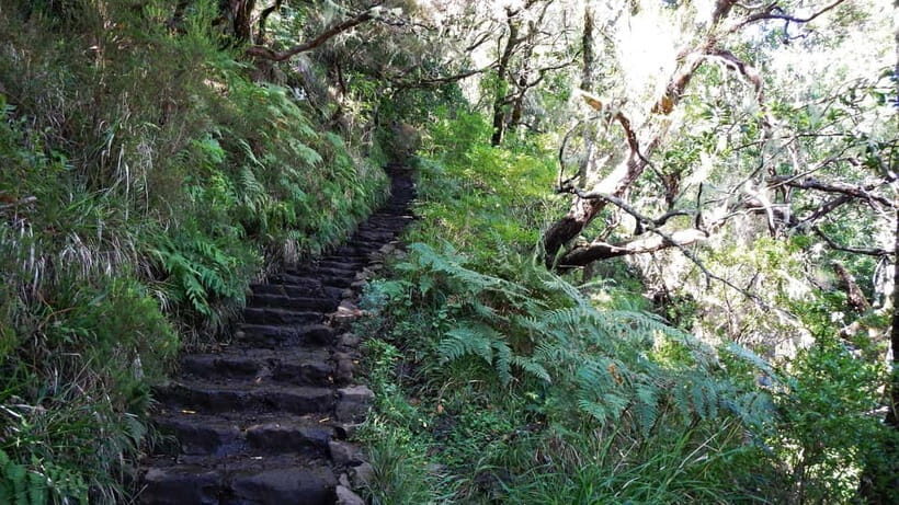 Rabaçal: 25 Fontes & Risco Levada Transfer Self-guided Hike - Price and value: what $38 really buys (and what it doesn’t)
