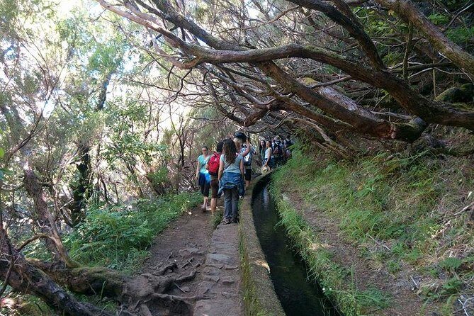 Rabaçal - 25 Fonts - Your guide’s job: safety, humor, and plant-spotting on a levada