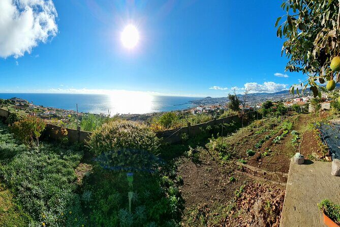 "Re-Canto" Farm-to-Table with Stunning Views at Madeira - Price and value: $72.41 for a full evening meal experience