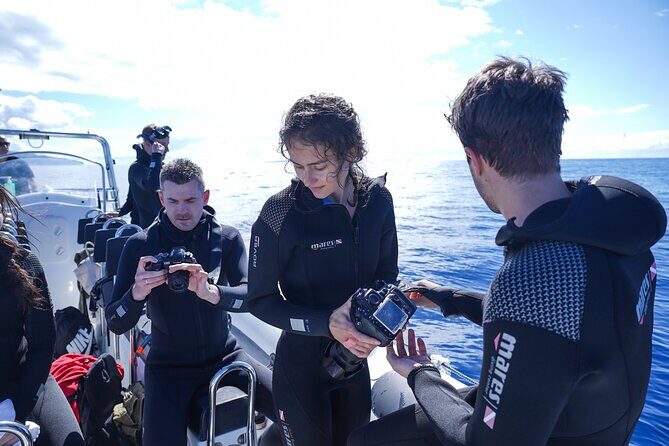 Responsible Whales and/or Dolphins Watching Tour - Motion, wind, and seat choices: what to pack (and where to sit)