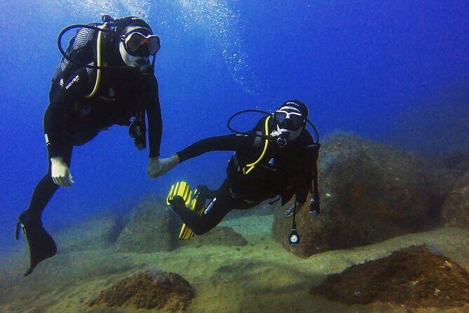 Scuba Diving Experience in Madeira - Your instructors and the small group: what support feels like
