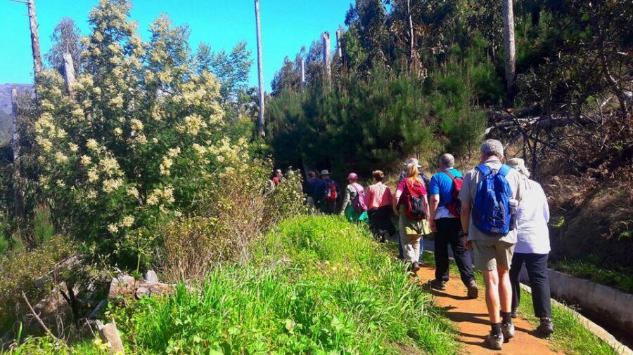 Serra de Água Valley Levada Walk - Why the guide matters more than you think