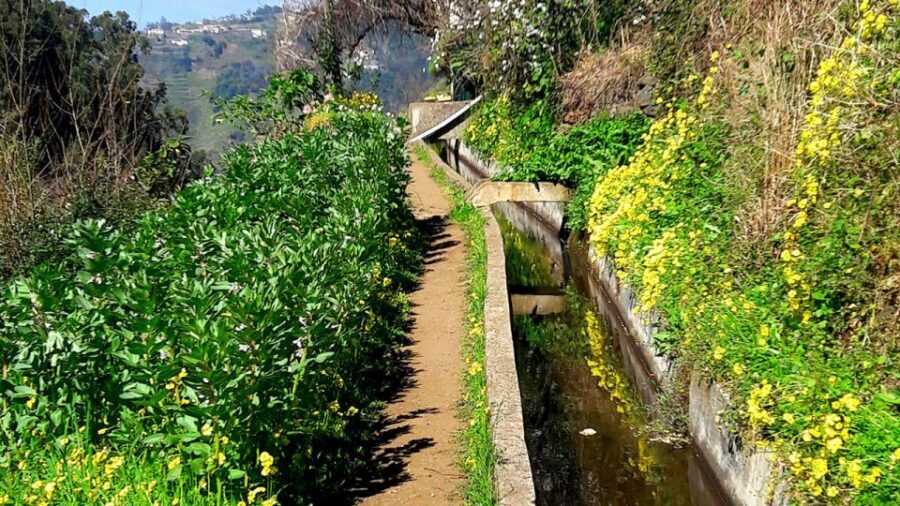 Serra de Água Valley Levada Walk - The cafe/pastry finish: what you’re really buying