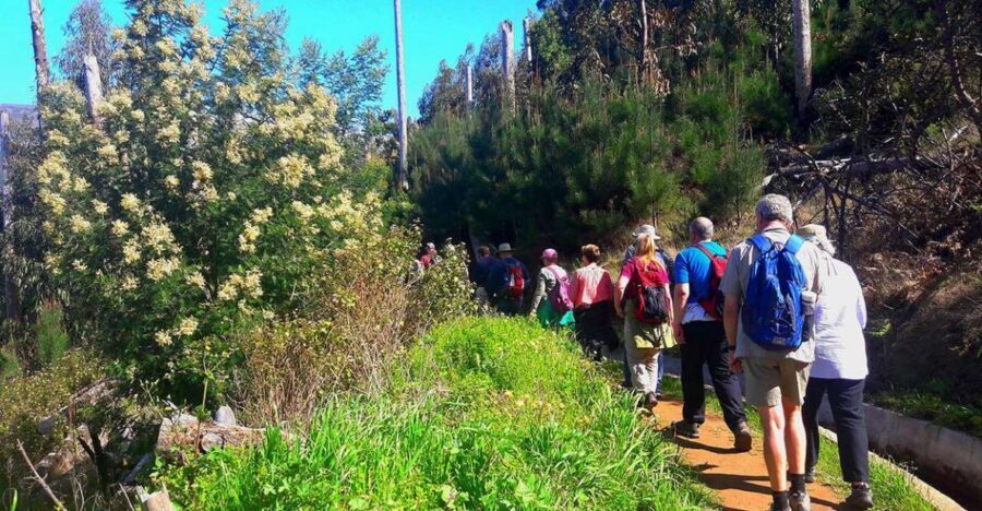 Serra de Água Valley Levada Walk - The views you’ll actually care about