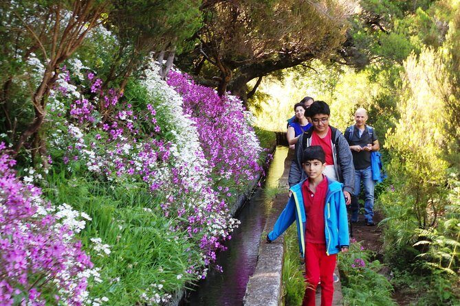 Skywalk 4x4 Experience and Rabacal 25 Fountains Levada Walk - Guides make the difference: names you might meet and what to listen for