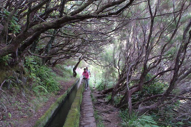 Skywalk 4x4 Experience and Rabacal 25 Fountains Levada Walk - Lunch, drinks, and budgeting without stress