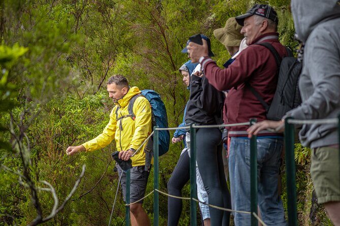 Skywalk 4x4 Experience and Rabacal 25 Fountains Levada Walk - Price and value: what $41 really buys you