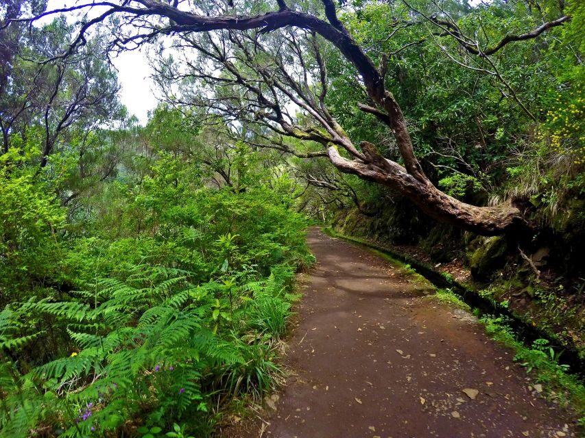 Small Group Walks Rabaçal 25 Fontes - Who should book this walk?