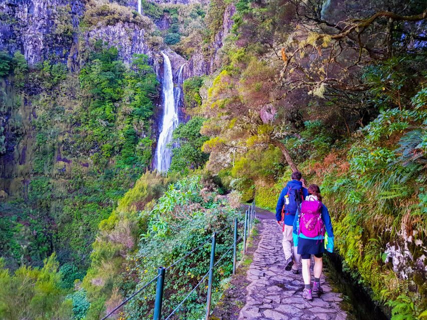Small Group Walks Rabaçal 25 Fontes - Entering Madeira’s Laurissilva by levada