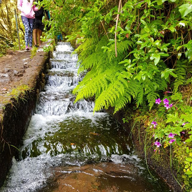 Small Group Walks Rabaçal 25 Fontes - The walk to 25 Fontes: canals, a lagoon, and that waterfall finish