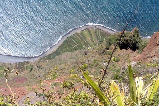 Small Group West Tour Waterfalls & Fanal Forest Tour - Porto Moniz Natural Swimming Pools: Lava Water, Real Time to Swim