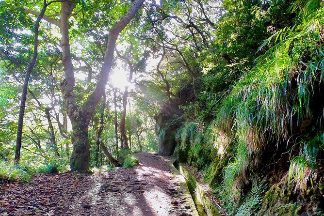 Sunrise Tour @ Pico Do Areiro | Half Day 4x4 Tour - Balcoes de Ribeiro Frio: A Levada Walk You Actually Feel