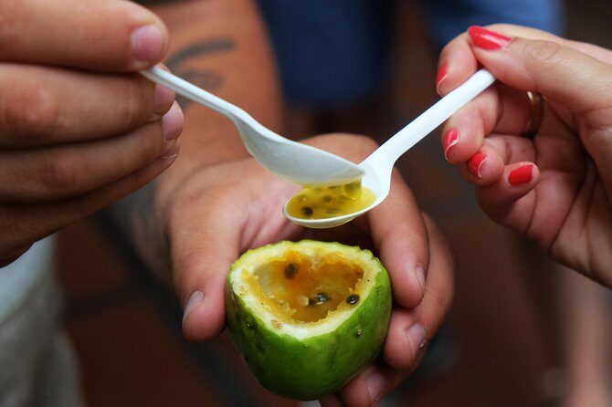 Taste Funchal: food, wine & cultural tour - Funchal’s food walk that feels like local shortcuts