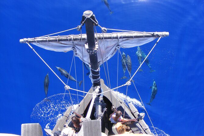 Time Travel on Columbus Replica Flag Ship in Madeira - Practical tips to have a smoother ride from Funchal