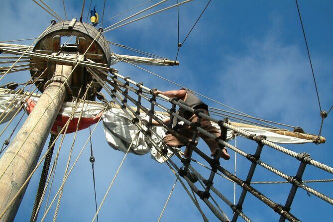Time Travel on Columbus Replica Flag Ship in Madeira - Dolphins and whales: seeing cetaceans without turning it into a chase