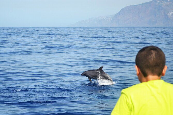 VipDolphins Luxury Whale Watching - Cabo Girao Swim and Snorkeling: The Part That Turns “Tour” Into “Memory”