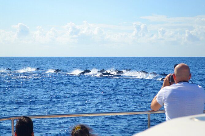 VipDolphins Luxury Whale Watching - Onboard Comfort: Space, Bathrooms, and How the Boat Keeps You Happy