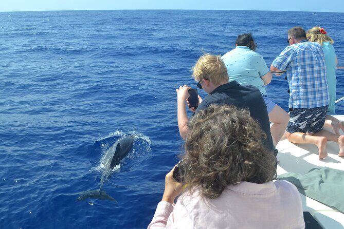 VipDolphins Luxury Whale Watching - The Crew Makes the Difference: Friendly Help, Clear Answers