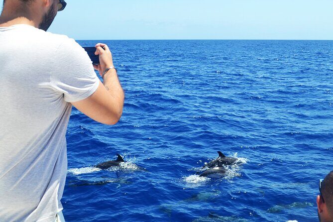 VipDolphins Luxury Whale Watching - Motion and Weather: The One Practical Risk to Plan For