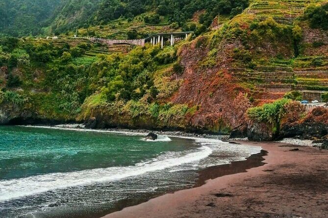 West Madeira Island Guided Tour & Fanal Mystic Forest - Price and Value: What You Pay for Comfort, Timing, and Routes