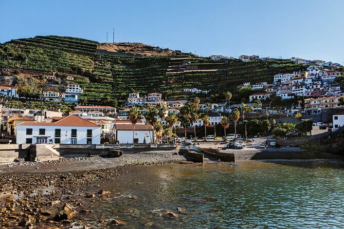 West Madeira Island Guided Tour & Fanal Mystic Forest - Fanal Mystic Forest (Laurissilva): When the Atmosphere Becomes the Attraction