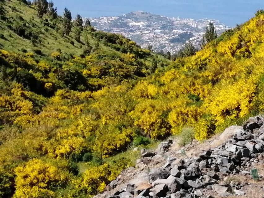 West Madeira:, Laurel Forest, Waterfall, Rock Pools, Walk - Wine stop and São Vicente waterfront: finishing the day with Madeira flavor