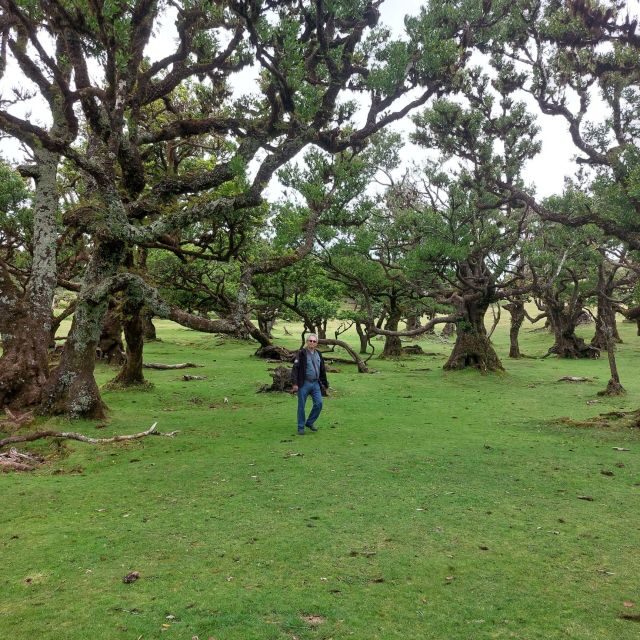 West Madeira:, Laurel Forest, Waterfall, Rock Pools, Walk - Cabo Gírao cliffs and the Skywalk: the €2 view that people remember