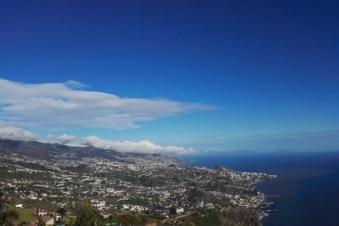 West Tour-Fanal Forest & Porto Moniz Natural Pools Small Groups - Ribeira Brava Farmers Market Stop: Real Madeira Life On the South Coast