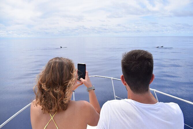 Whale and Dolphin Watching Tour in Madeira - Setting Off From Calheta Marina, and Why It Matters