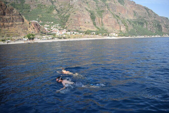Whale and Dolphin Watching Tour in Madeira - Watching Madeira From the Water: What the Cruise Feels Like