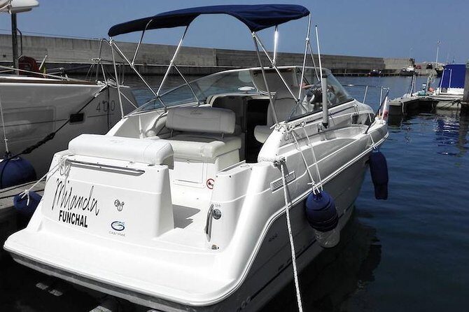 Whale and Dolphin Watching Tour in Madeira - Yacht Miranda and the Small-Group Feel