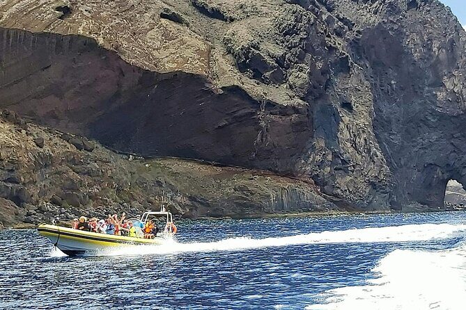 Whale & Dolphin Watching in Madeira - Meeting point in Caniçal: the one detail that saves time